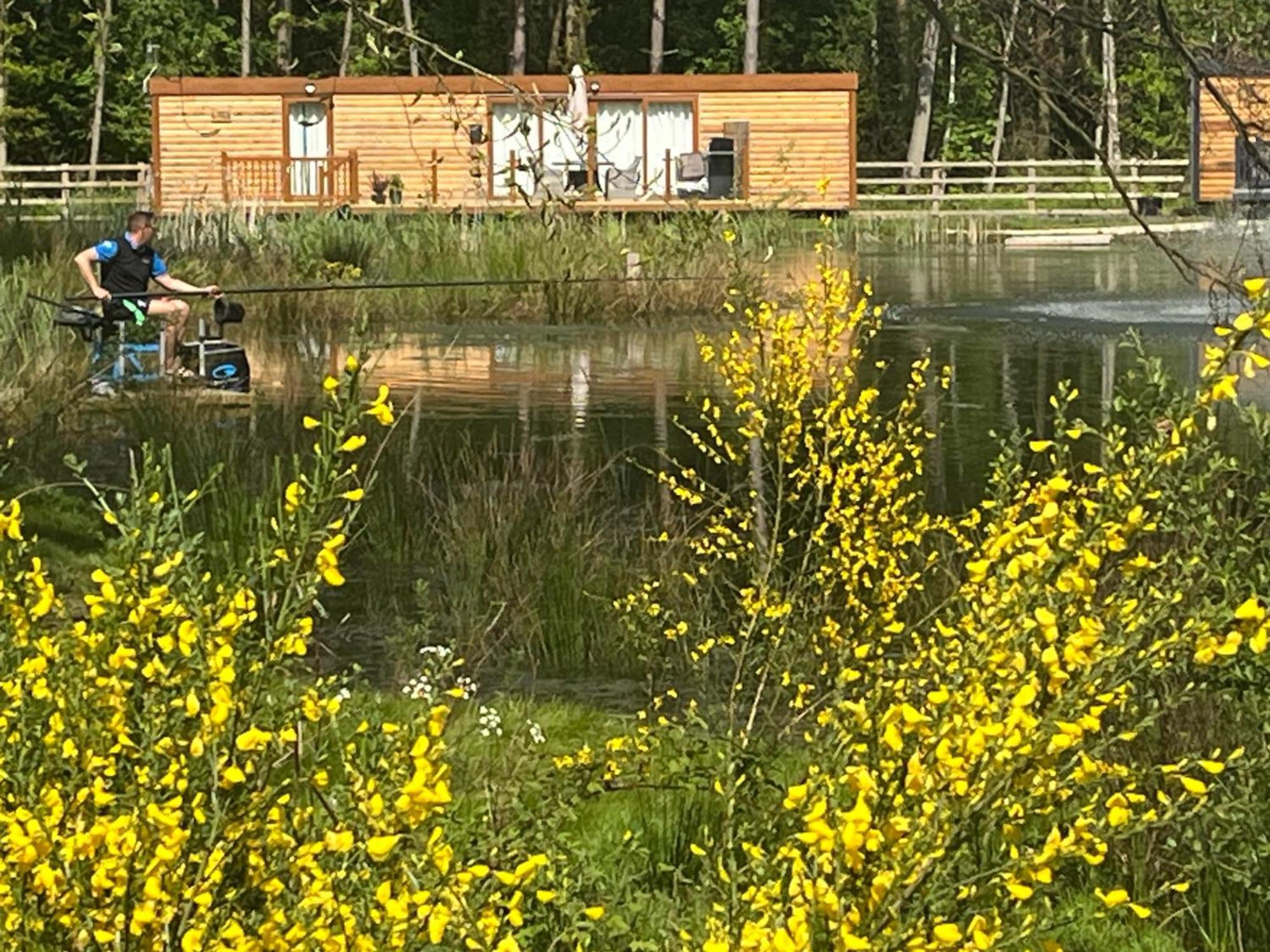 Oak Boutique Lodge Includes Hot Tub Air Con & Dog Йорк Экстерьер фото